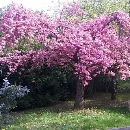 Pisciinterieure Chauffee28degres Paris Ouest Pres Giverny Mac Arthur Дом отдыха Chambray