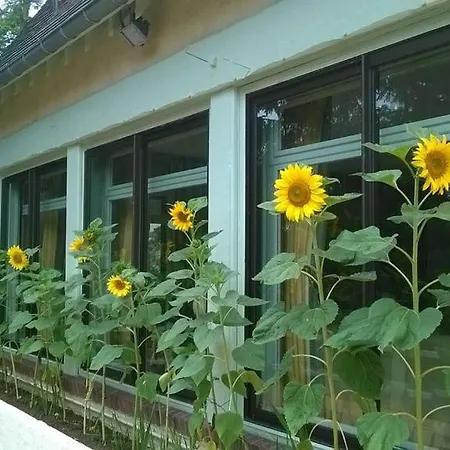 Pisciinterieure Chauffee28degres Paris Ouest Pres Giverny Mac Arthur Chambray