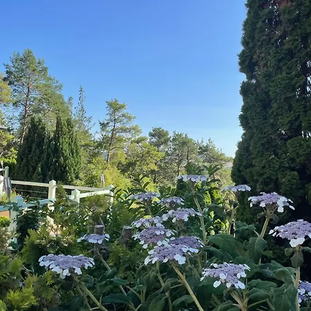Pisciinterieure Chauffee28degres Paris Ouest Pres Giverny Mac Arthur Chambray
